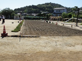 写真：赤崎小学校植栽の様子1