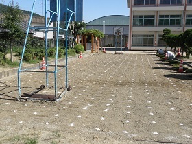 写真：赤崎小学校の校庭