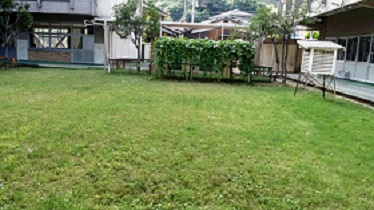 写真：児島小学校芝生の現在の状況