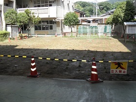 写真：児島小学校植栽直後