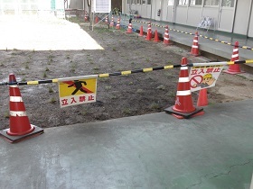写真：児島小学校芝生植栽の様子3