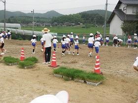 写真：薗小学校芝生植栽の様子2