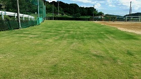 写真：薗小学校芝生現在の状況