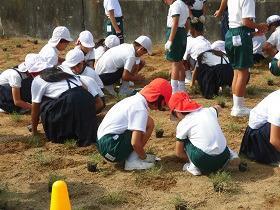 写真：旭丘小学校植栽の様子3