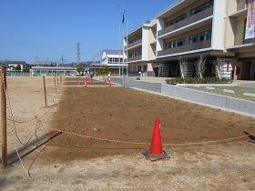 写真：玉島小学校植栽直後の様子