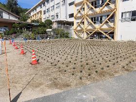 写真：植栽風景1