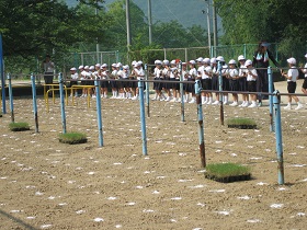 写真：植栽風景2