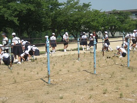 写真：植栽風景6