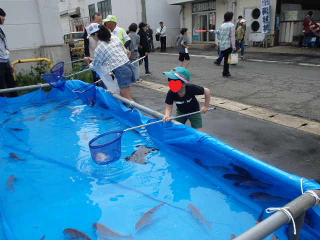 魚のすくいどり