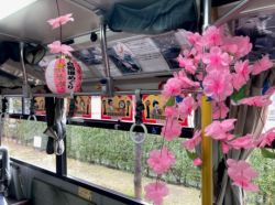 写真：下電バス2