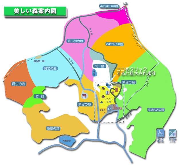 写真：美しい森案内図