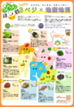 3ベジ×地産地消