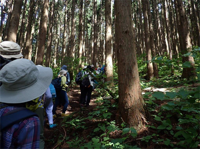 中国山地の植物観察～三平山～　観察会のようす2