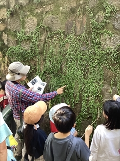 観察会のようす3