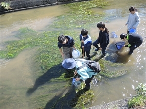 観察会のようす2