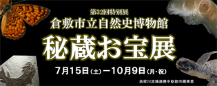 写真：第32回　倉敷市立自然史博物館秘蔵お宝展（会期：2023年7月15日～10月9日）