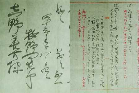 写真：牧野富太郎博士からの書簡