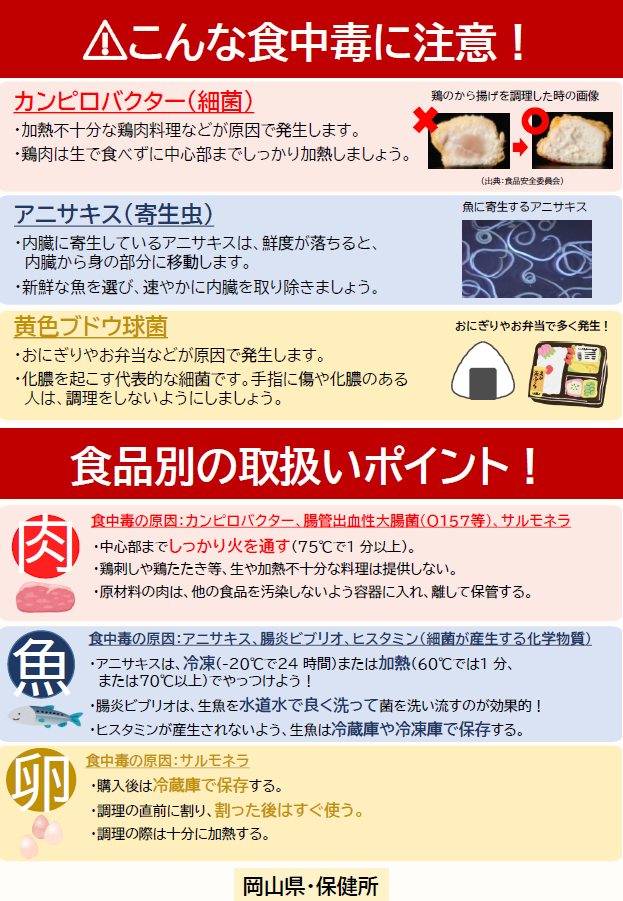 岡山県チラシ2