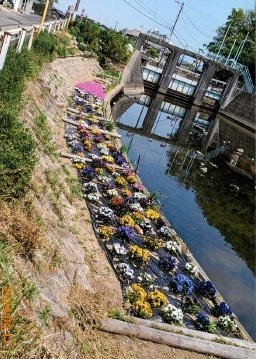 写真:応募作品 川崎団地町内会これから会