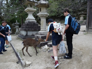 写真：広島2