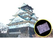 写真：大阪城と花こう岩