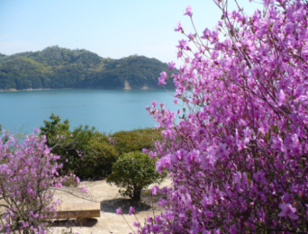 写真：通仙園（ツツジ）