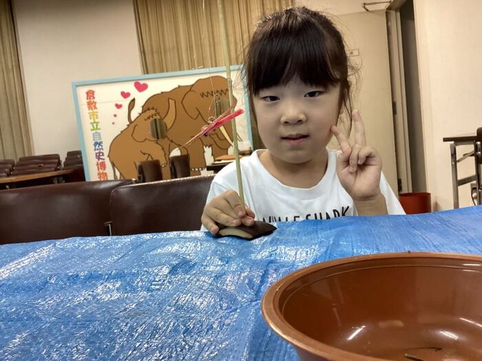 完成作品（トンボ）