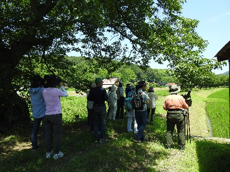 観察会のようす