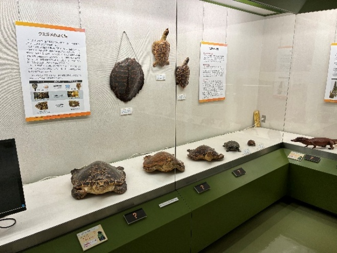 展示・関連イベント開催のようす1