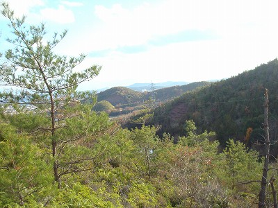 観察会のようす4