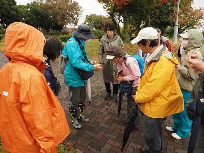 カクベンケイガニを観察する参加者