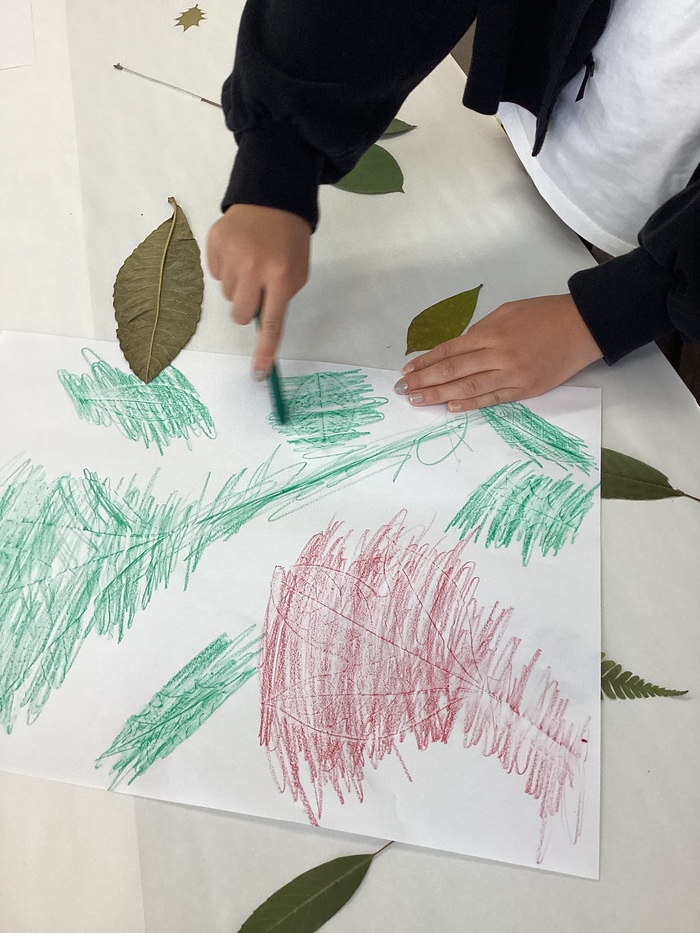 植物標本アート