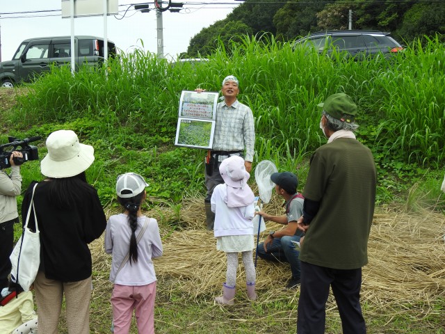 ミズアオイの保護活動解説