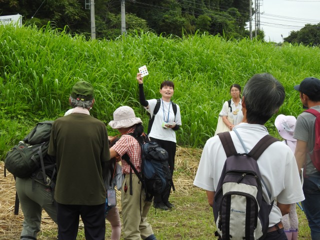 ネイチャーゲーム