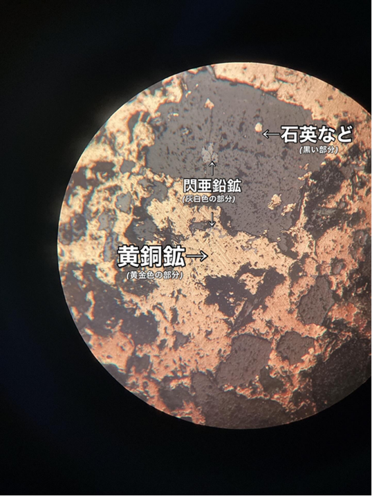 観察する様子
