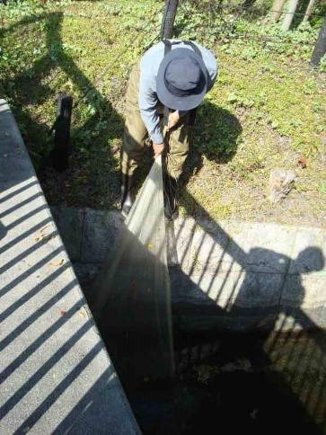 水生生物を捕る