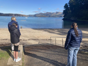 Photo: What surprised me in New Zealand 3