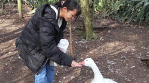 Photo: My New Zealand Adventures 10