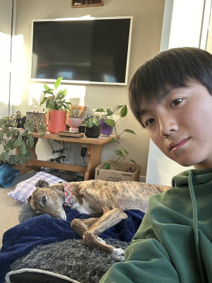 写真：姉妹都市訪問青少年生活体験団としてニュージーランドを訪れて6