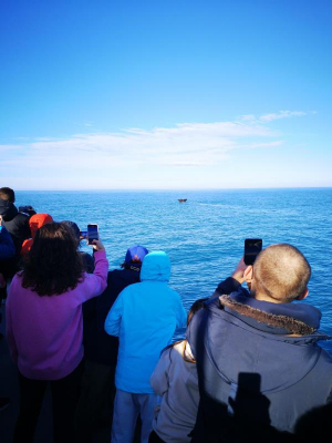 Photo: Valuable Experience in New Zealand 6