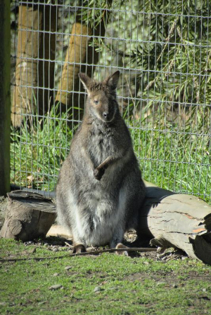 写真：ニュージーランドでの貴重な体験8