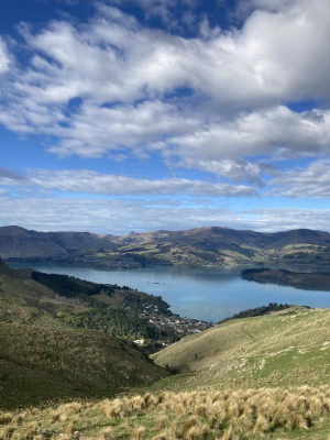 Photo: Going to New Zealand 3