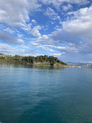 Photo: Going to New Zealand 7