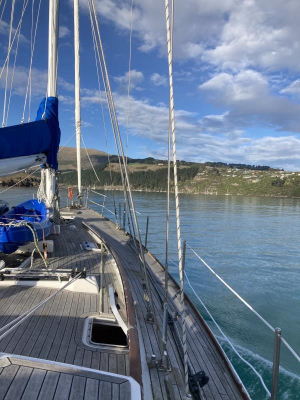 Photo: Going to New Zealand 8