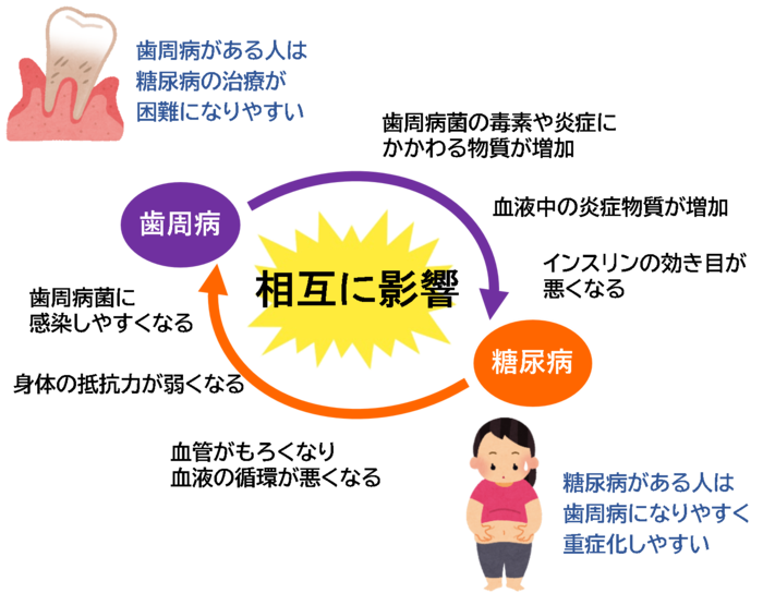 歯周病と糖尿病の関係を表した図