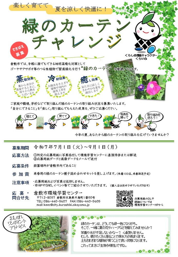 チラシ