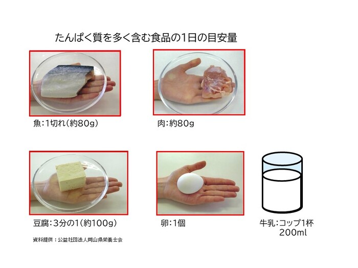 画像：1日に必要なたんぱく質の目安は、それぞれ片手に乗るぐらいの量です。魚1切れ約80グラム、肉約80グラム、豆腐3分の1丁（約100グラム）、卵1個、牛乳1杯（200ミリリットル）