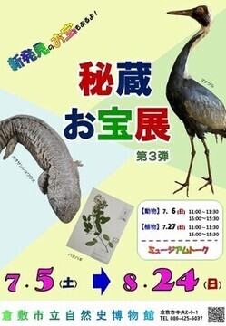 特別企画展「倉敷市立自然史博物館秘蔵お宝展　第3弾」のポスター