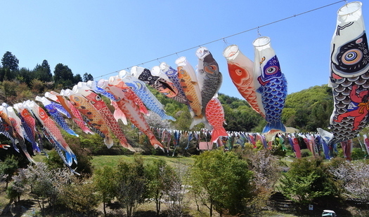 koinobori