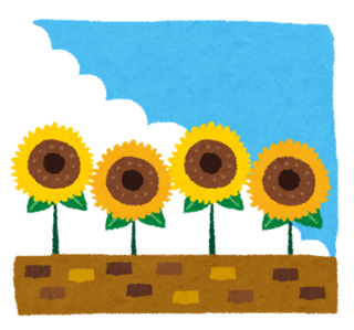 ひまわりのイラスト